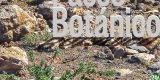 La Reserva de la Biosfera organiza un paseo botánico por las cumbres de Famara