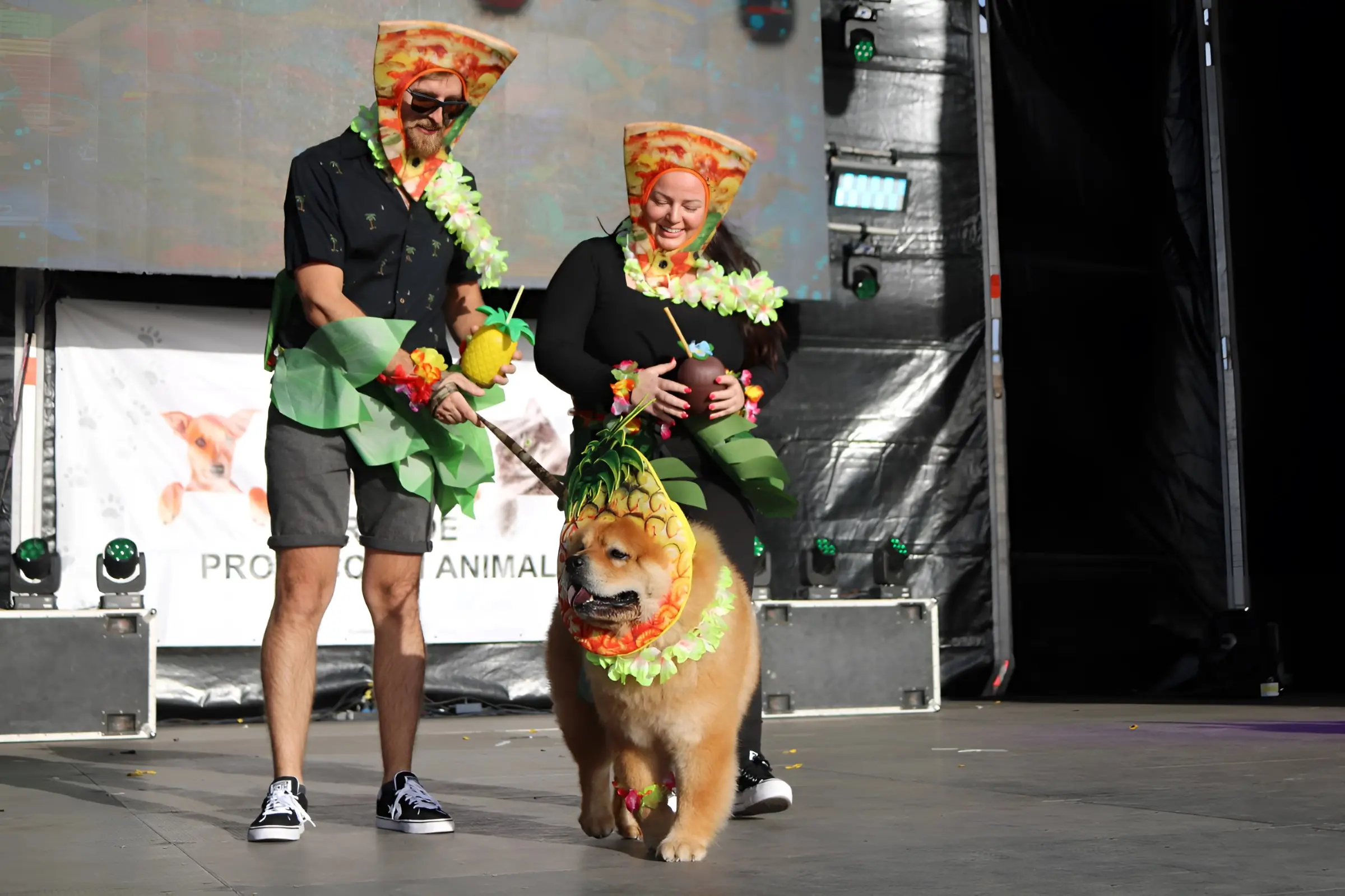 Carnaval Canino de Playa Blanca
