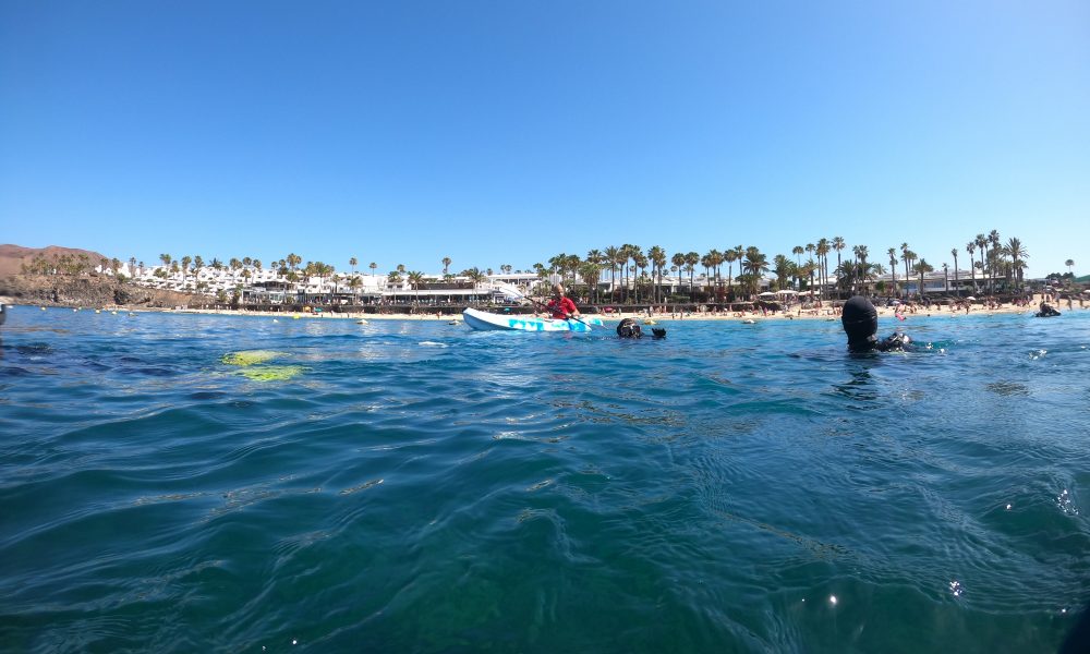 Yaiza convoca una nueva jornada de limpieza el 4 de mayo en Playa Flamingo 