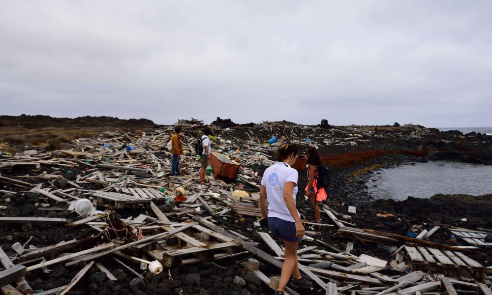 La Basura Marina en las Costas Canarias