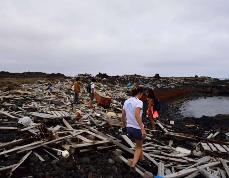 La Basura Marina en las Costas Canarias