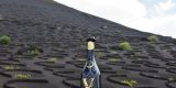Bodega Vulcano reconocida con la Gran Medalla de Oro