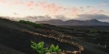 Vinos de Lanzarote suma trece nuevos galardones