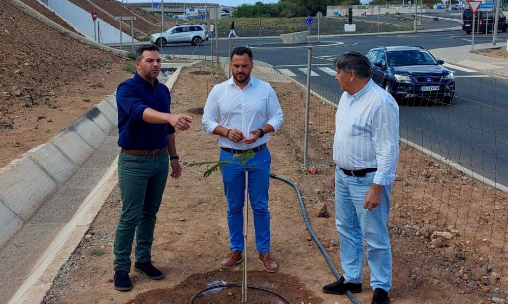 Obras Públicas genera nuevos espacios verdes en la capital