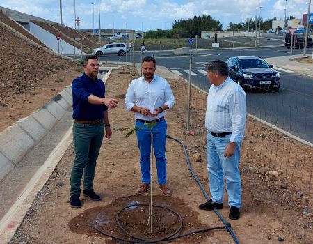 Obras Públicas genera nuevos espacios verdes en la capital