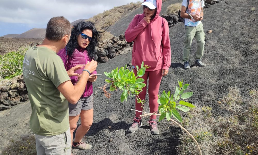 Lanzarote participa en el Maratón Europeo de Detección de Especies Exóticas Invasoras