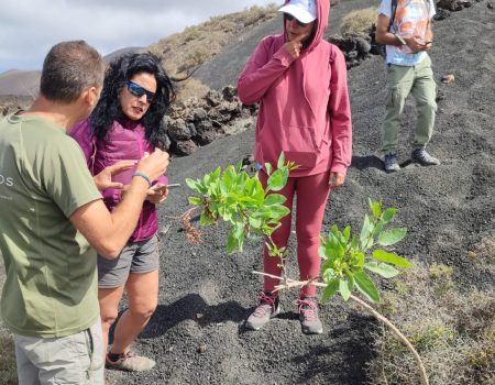 Lanzarote participa en el Maratón Europeo de Detección de Especies Exóticas Invasoras