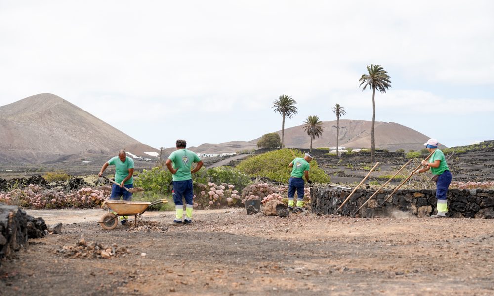 Los “guardianes del territorio” del Cabildo de Lanzarote