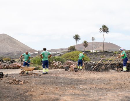 Los “guardianes del territorio” del Cabildo de Lanzarote