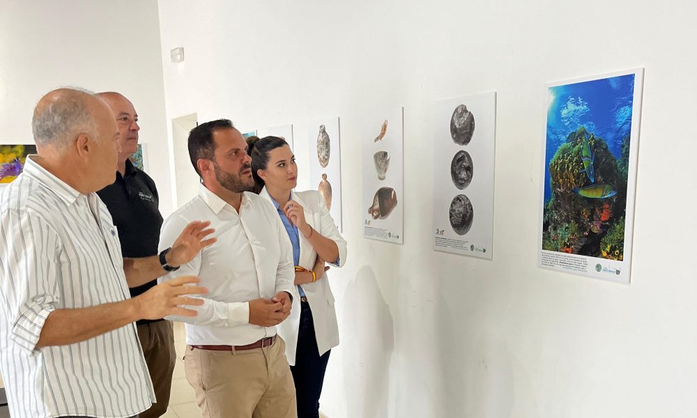 Exposición Arrecife Sumergida