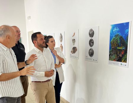 Exposición Arrecife Sumergida