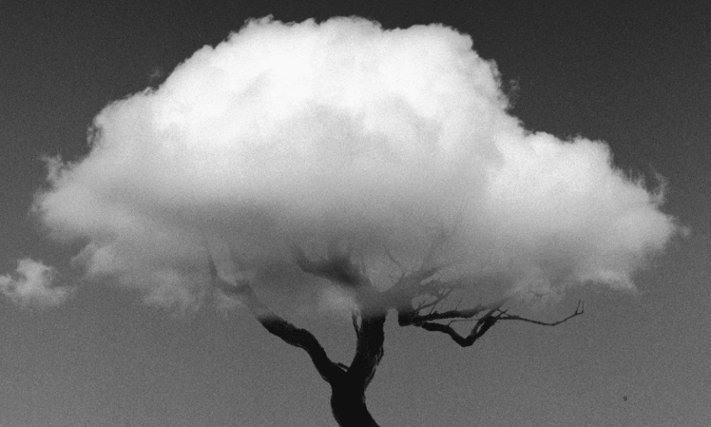 Exposición del reconocido Chema Madoz en Lanzarote