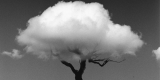 Exposición del reconocido Chema Madoz en Lanzarote