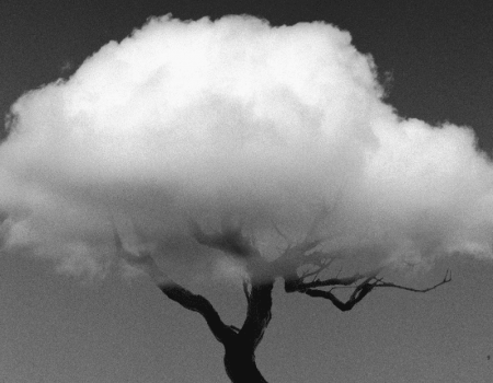 Exposición del reconocido Chema Madoz en Lanzarote