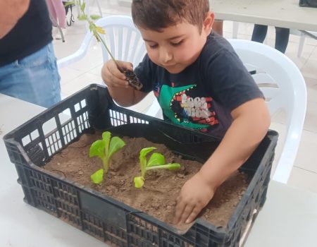 Talleres infantiles para promover los huertos en las azoteas de Arrecife