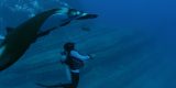 Documentales de Estreno en Lanzarote