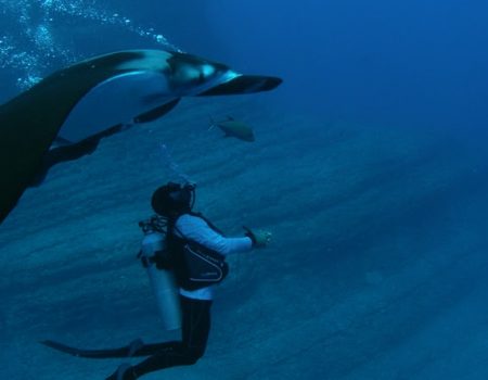 Documentales de Estreno en Lanzarote