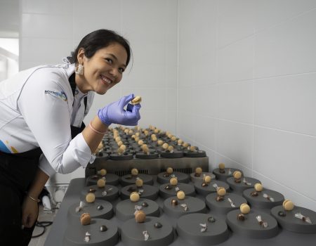 Worldcanic renueva su compromiso con Lanzarote