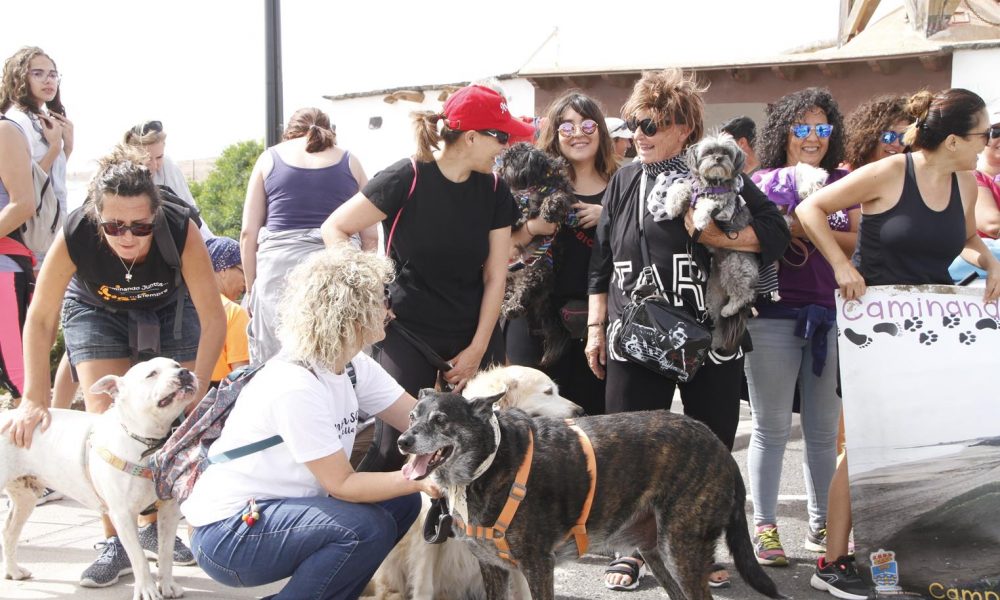 Teguise impulsa una campaña de concienciación animal para el verano