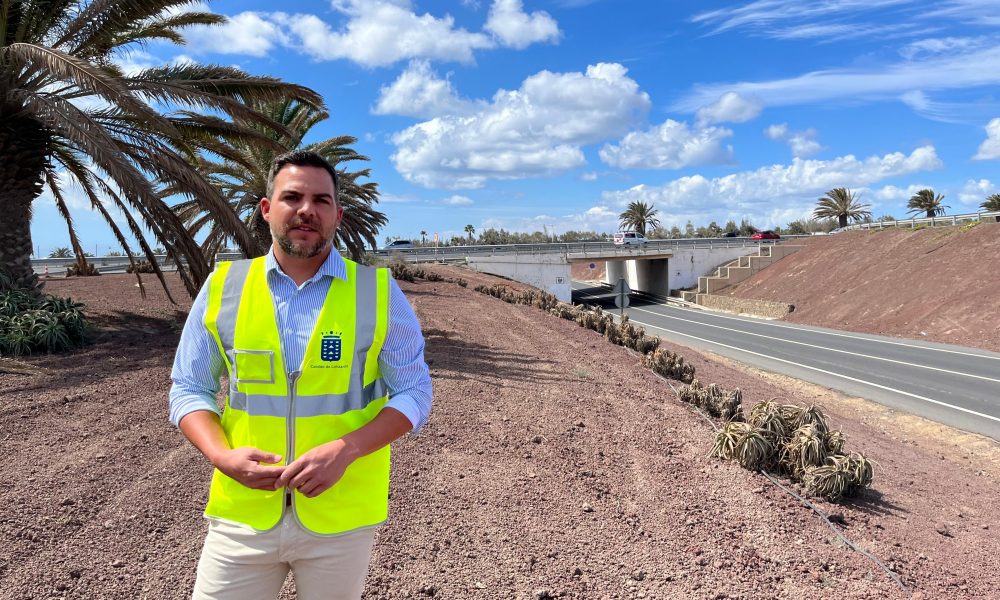 Mejora paisajística del entorno del aeropuerto César Manrique