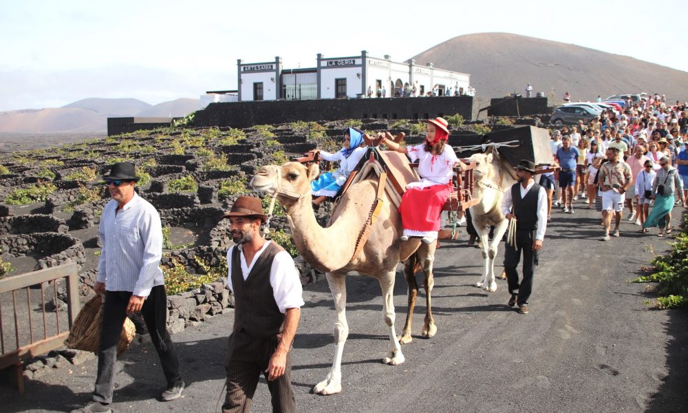 La Geria celebra su vendimia tradicional el jueves 15 de agosto