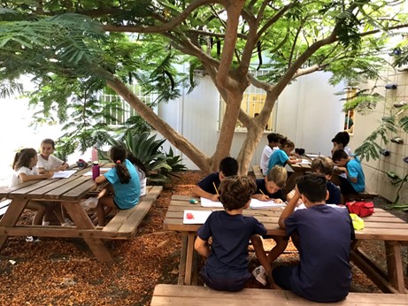 El CEIP Costa Teguise, finalista en los premios sostenibles del Ministerio de Educación