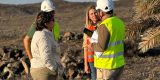 Teguise inicia los trabajos para combatir la plaga de escarabajos de las palmeras