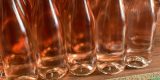 Bodega Tierra Viva inicia el proceso de embotellado