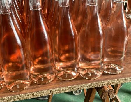 Bodega Tierra Viva inicia el proceso de embotellado