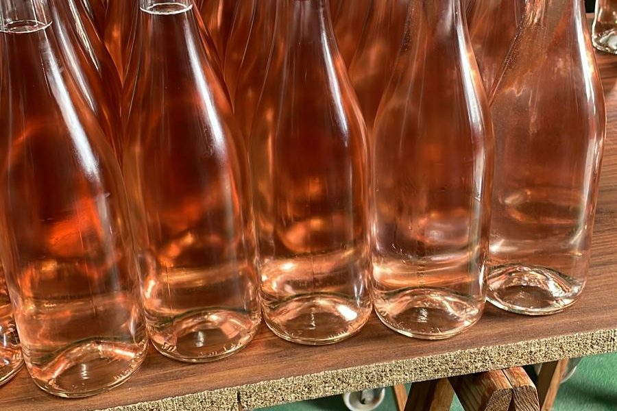Bodega Tierra Viva inicia el proceso de embotellado