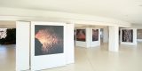 Timanfaya, arte creado por el volcán