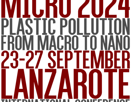 Micro 2024