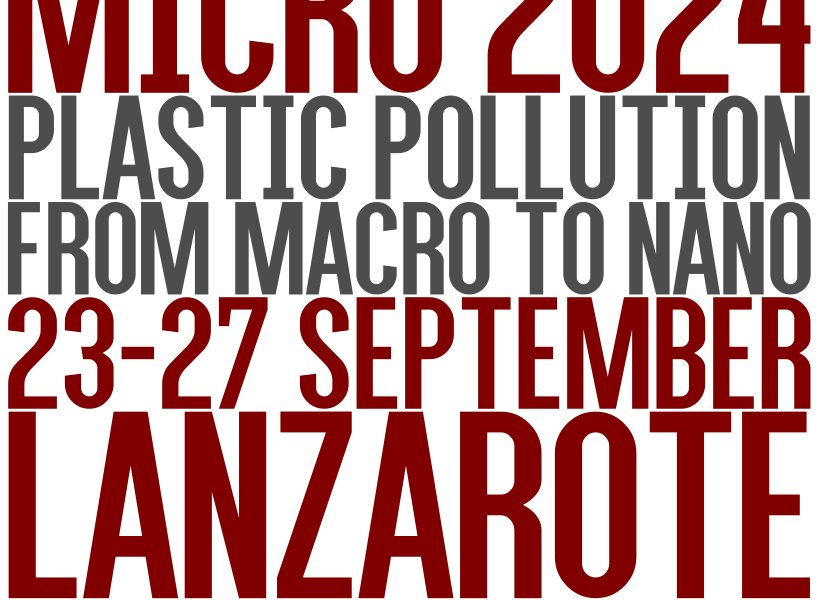 Micro 2024