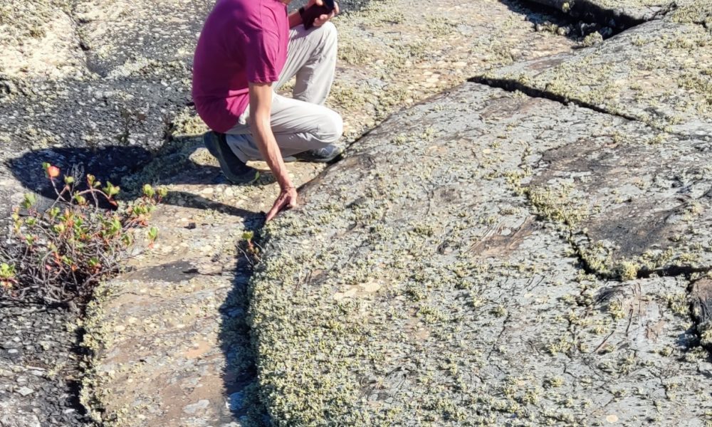 Pascual Gil, director del Parque Nacional de Timanfaya
