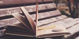 "La Paradoja de la Poesía Inútil"