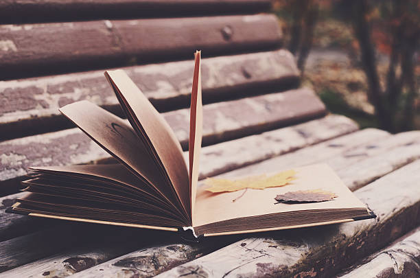 "La Paradoja de la Poesía Inútil"