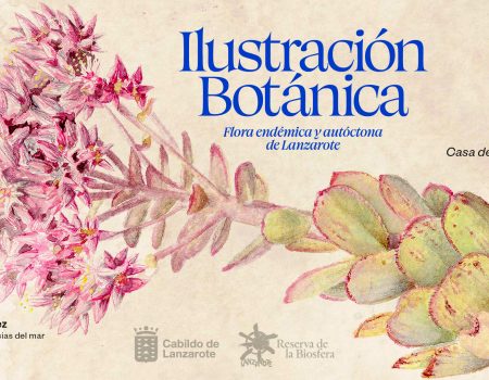 Taller de ilustración botánica