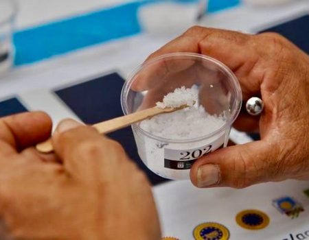 Concurso de Sal Marina Agrocanarias