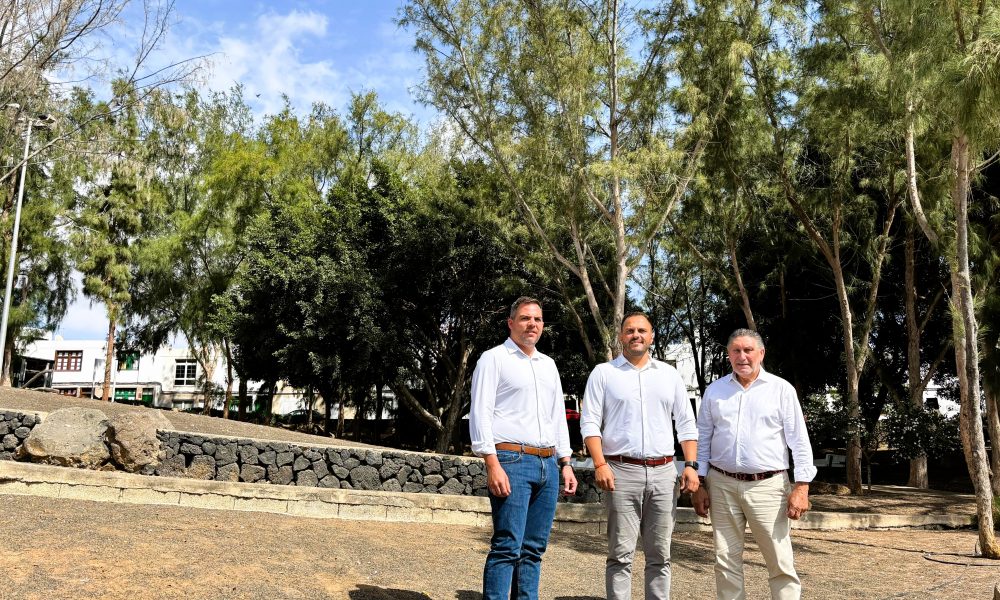 Arrecife invierte 1,6 millones en nueva red de riego para zonas verdes
