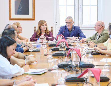 Nieves Lady Barreto perfila en Lanzarote la figura del facilitador judicial