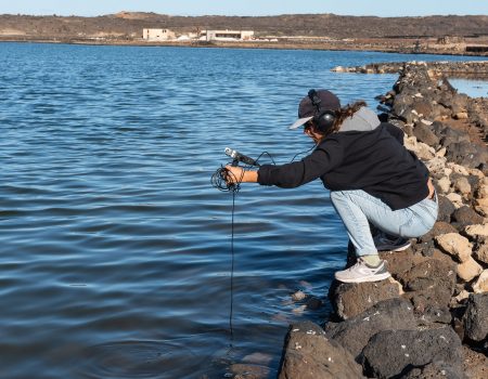 La Muestra de Cine organiza los cursos "Filmar el sonido" y “La fotografía como narrativa