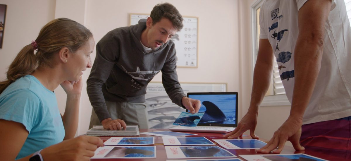 ‘Nika, el calderón tropical’, un grito de auxilio ante la sobreexplotación en Canarias