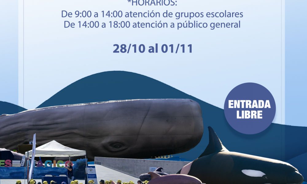 Exposición ‘Cetáceos de la Macaronesia’