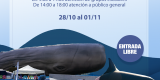 Exposición ‘Cetáceos de la Macaronesia’
