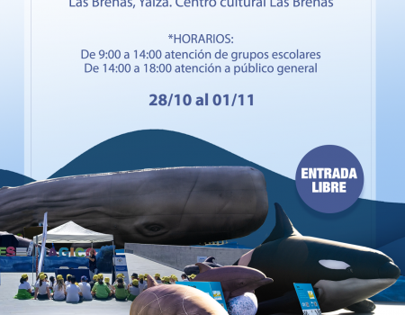 Exposición ‘Cetáceos de la Macaronesia’