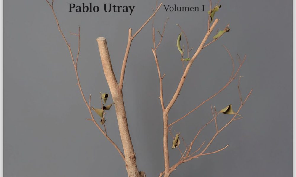 Necesidad de comprender, un nuevo libro del filósofo Pablo Utray ve la luz