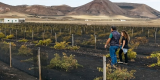 RegenERA Lanzarote 2024