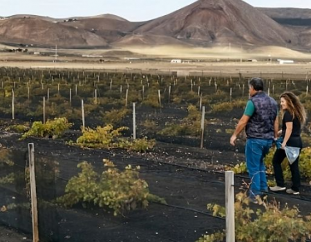 RegenERA Lanzarote 2024