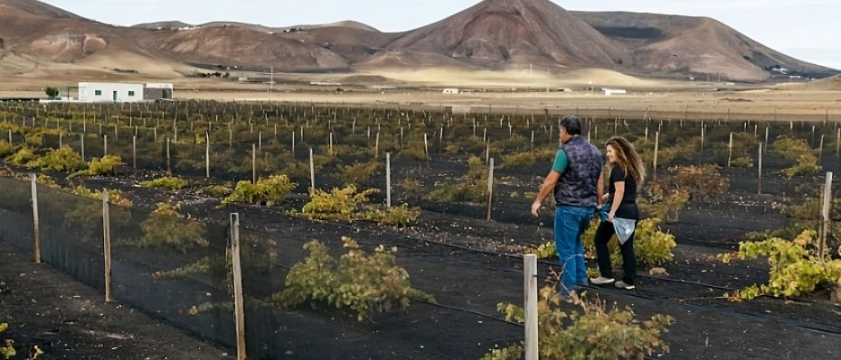 RegenERA Lanzarote 2024
