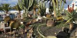 Concurso de Belenes Tradicionales de la Orden del Cachorro Canario